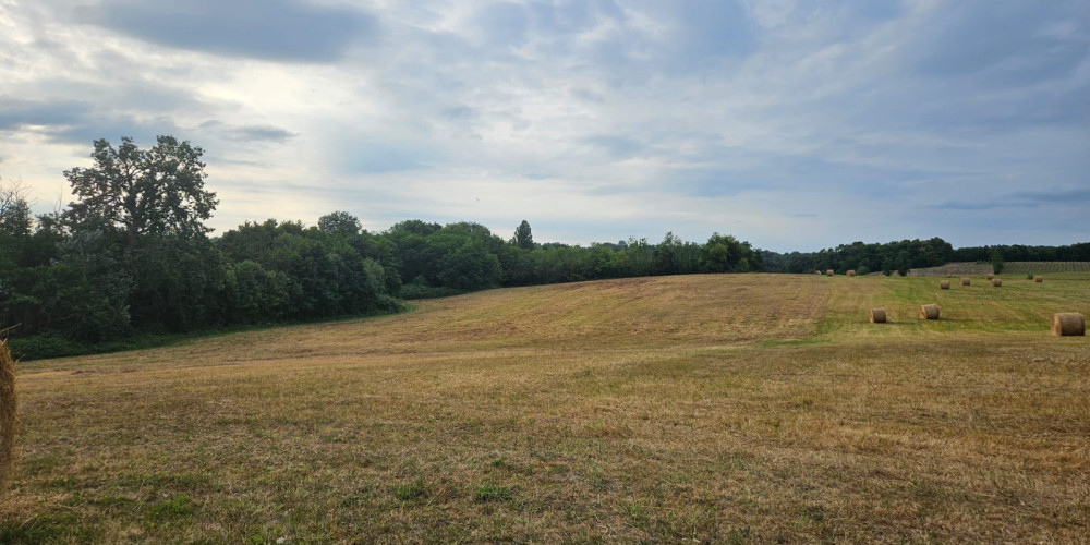 terrain à COUTURES (33580)