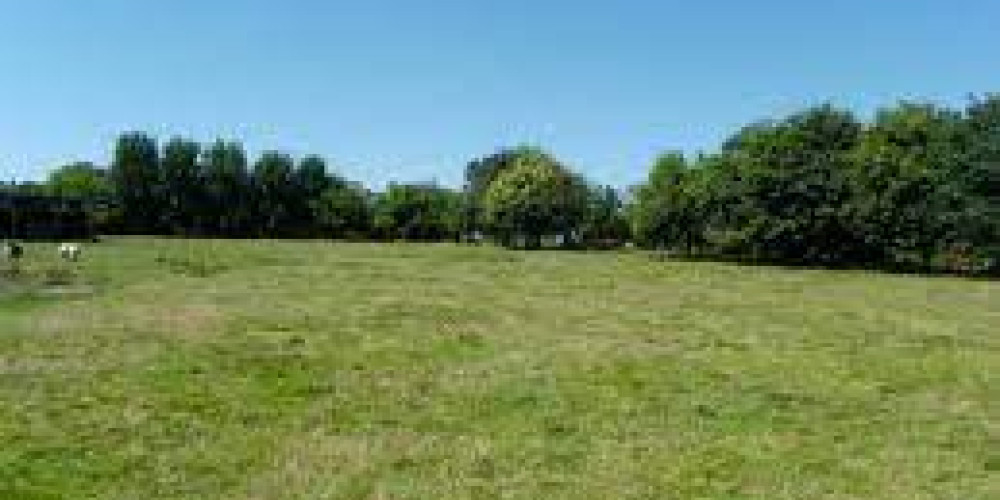 terrain à CASTELNAU DE MEDOC (33480)