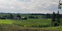 maison à ST GENES DE CASTILLON (33350)