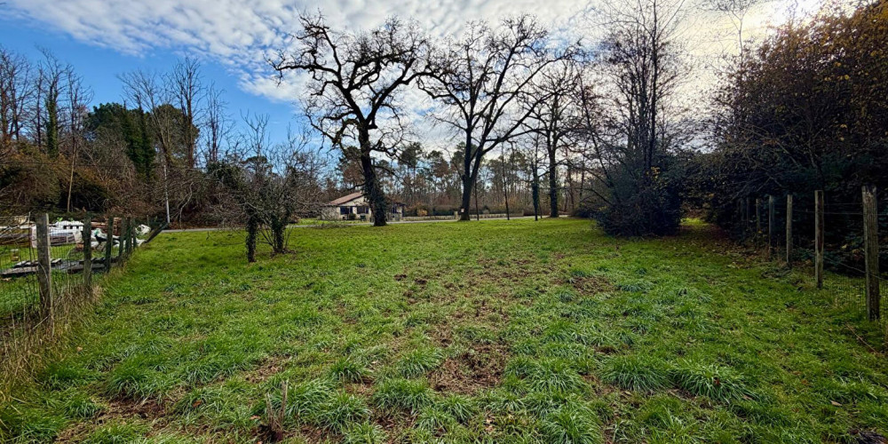 terrain à LOUCHATS (33125)