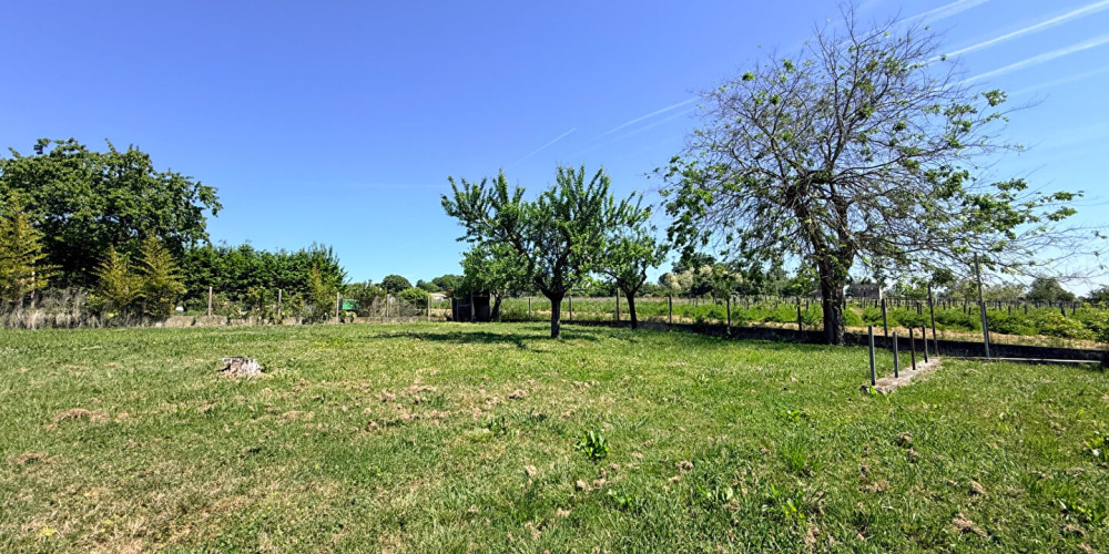 terrain à FRONSAC (33126)