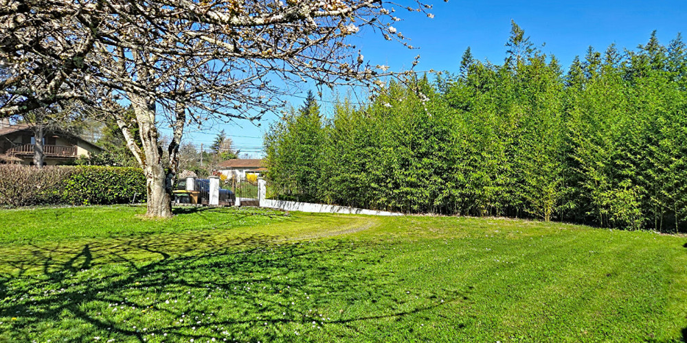 terrain à ST DENIS DE PILE (33910)