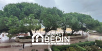 appartement à ARCACHON (33120)