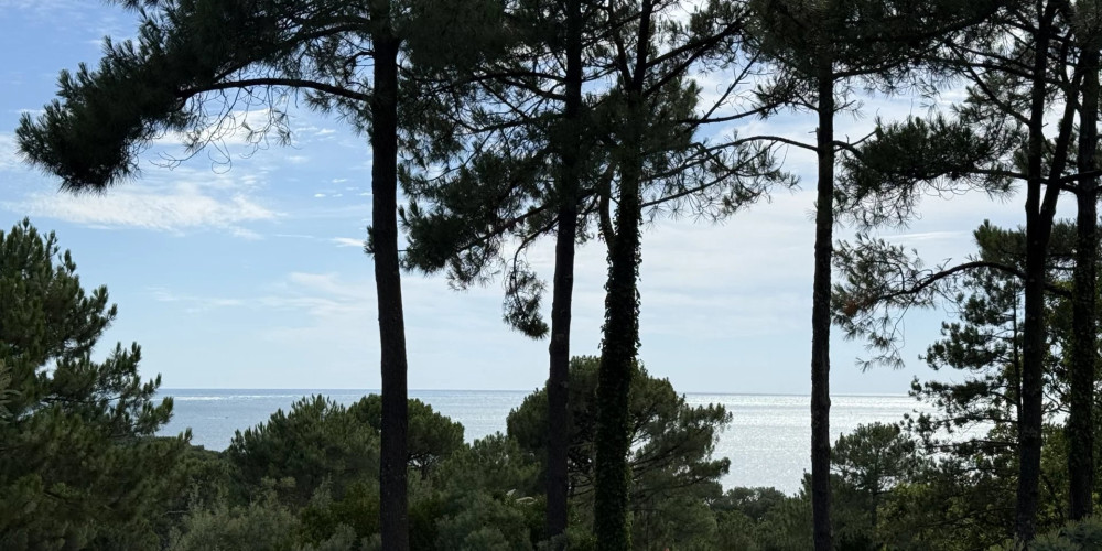 maison à LA TESTE DE BUCH (33115)