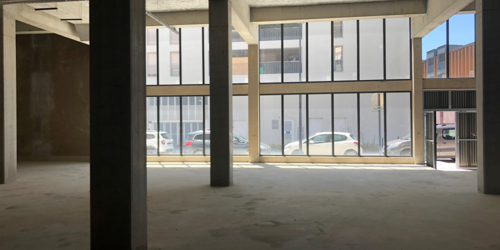 local industriel à BORDEAUX (33100)