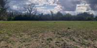 terrain à TABANAC (33550)