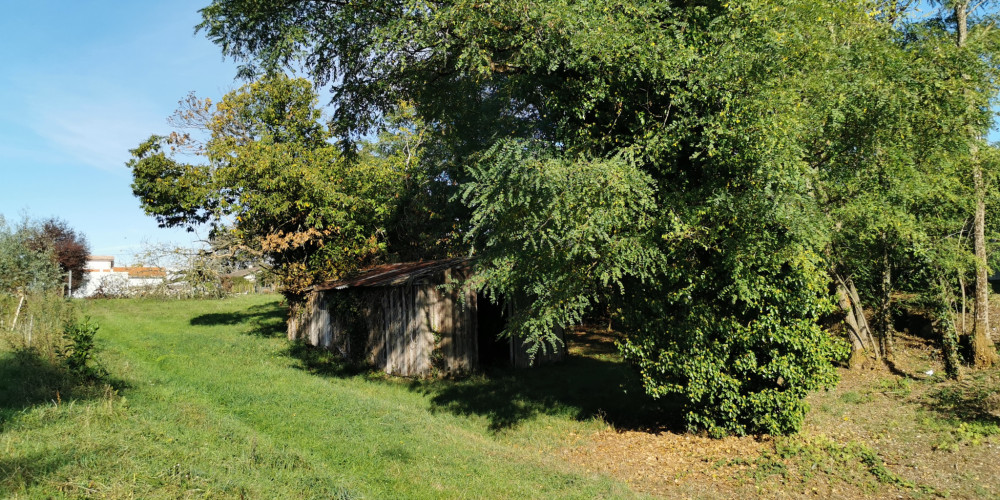 terrain à COUTRAS (33230)