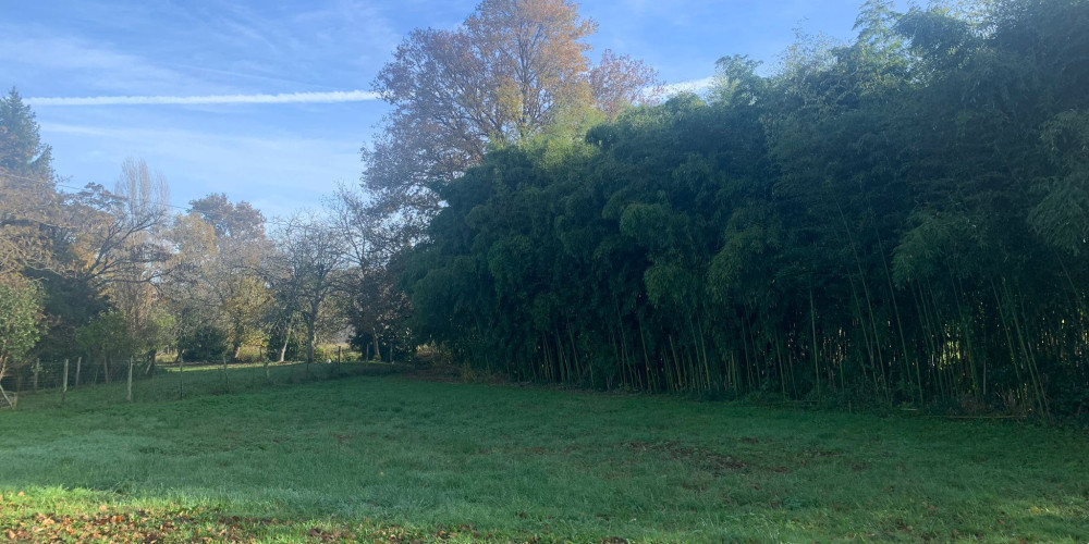 terrain à BAIGNEAUX (33760)