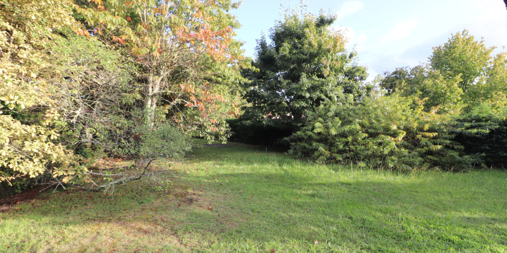 terrain à LEOGNAN (33850)