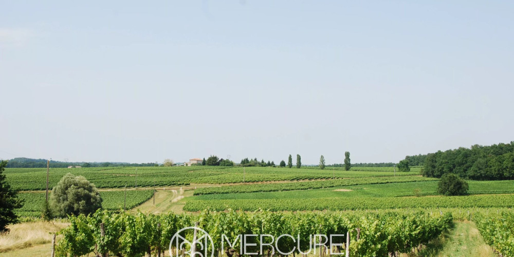 maison à SAUVETERRE DE GUYENNE (33540)