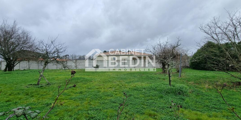 terrain à LE TAILLAN MEDOC (33320)