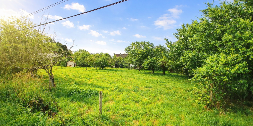 maison à ST GENES DE CASTILLON (33350)