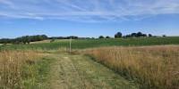 terrain à COUTURES (33580)