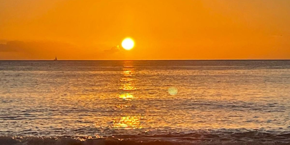 local commercial à VENDAYS MONTALIVET (33930)