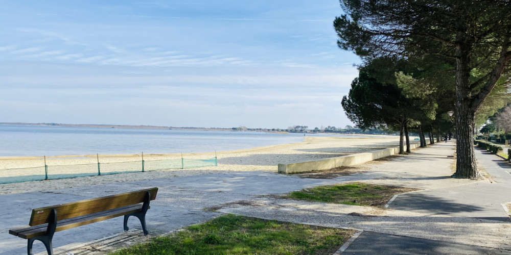 terrain à CARCANS (33121)