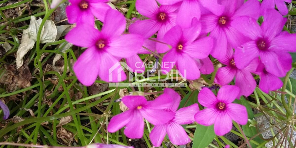 terrain à LE PORGE (33680)