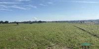 terrain à ST PIERRE D AURILLAC (33490)
