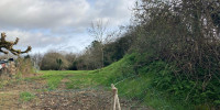 terrain à BLASIMON (33540)