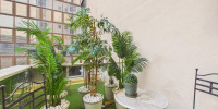 appartement à BORDEAUX (33000)