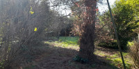 terrain à TALENCE (33400)