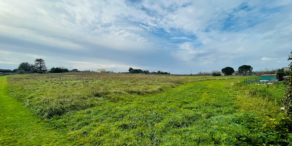 terrain à ANGLADE (33390)