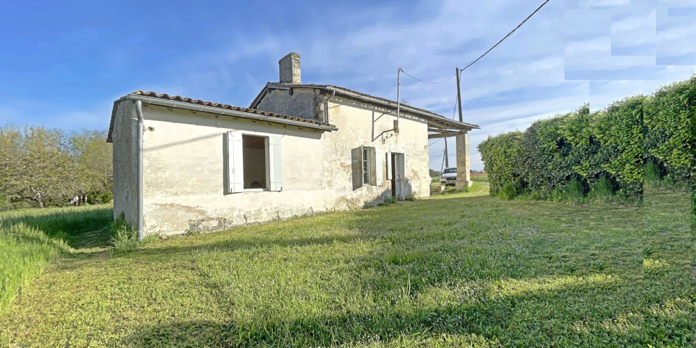 maison à SAVIGNAC DE L ISLE (33910)