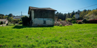maison à ST MORILLON (33650)