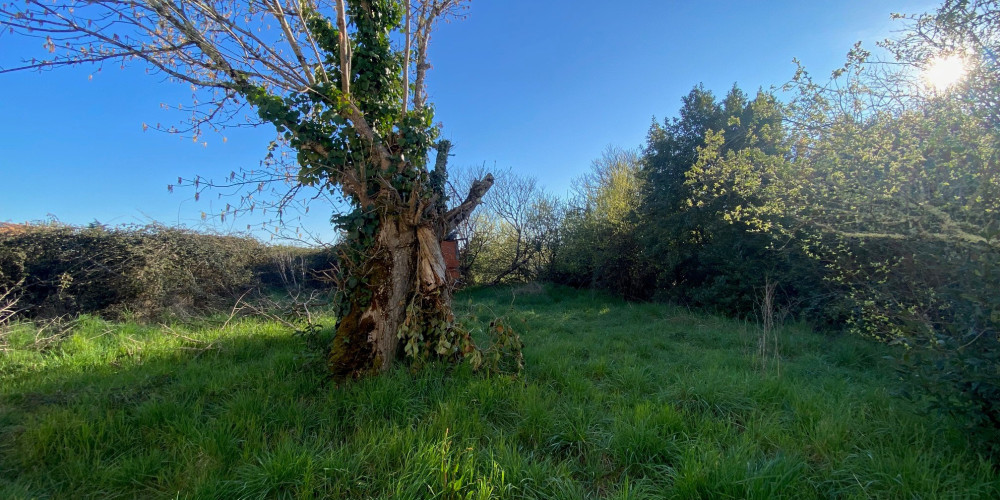 terrain à CESTAS (33610)