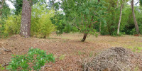 terrain à STE HELENE (33480)