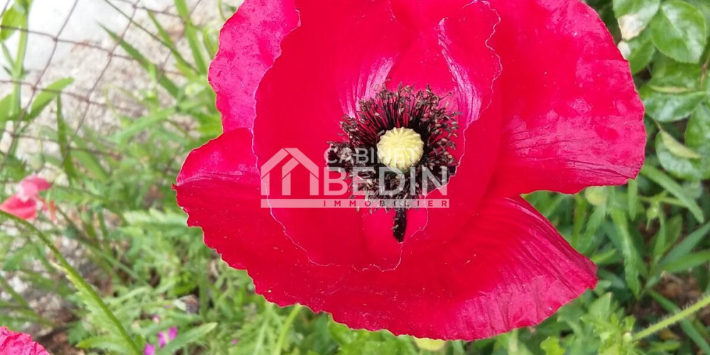 terrain à LE PORGE (33680)