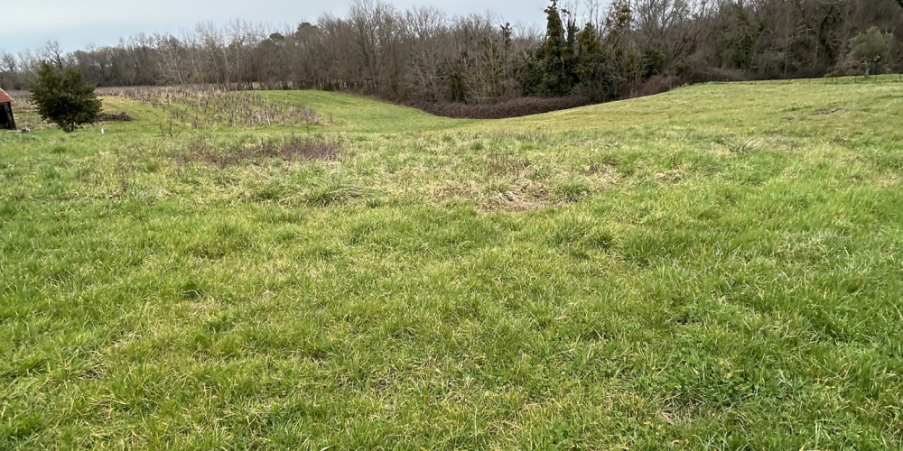 terrain à MONPRIMBLANC (33410)