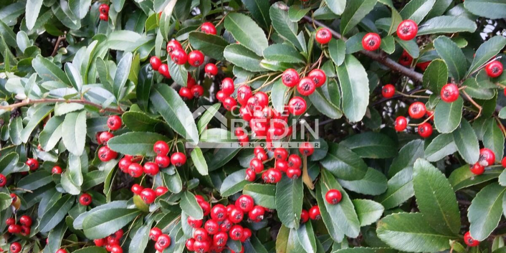 terrain à LE PORGE (33680)