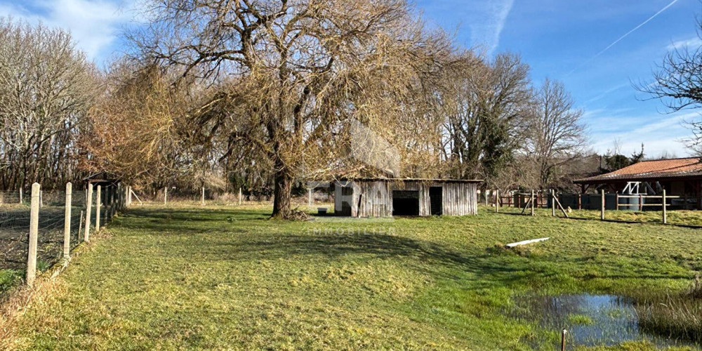 terrain à LE TUZAN (33125)