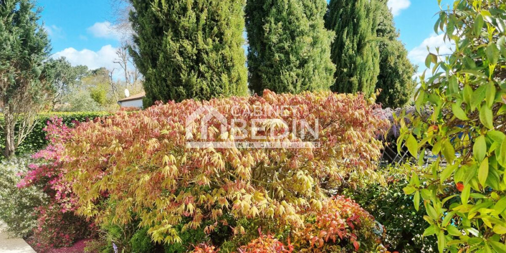 maison à ST MEDARD EN JALLES (33160)