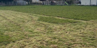 terrain à VAYRES (33870)