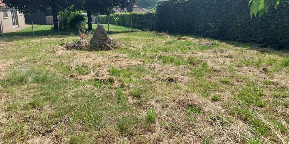 terrain à LUGASSON (33760)
