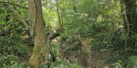 terrain à COUTURES (33580)