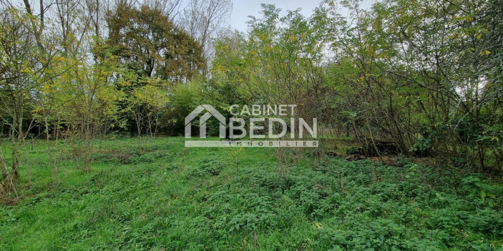 terrain à LA BREDE (33650)