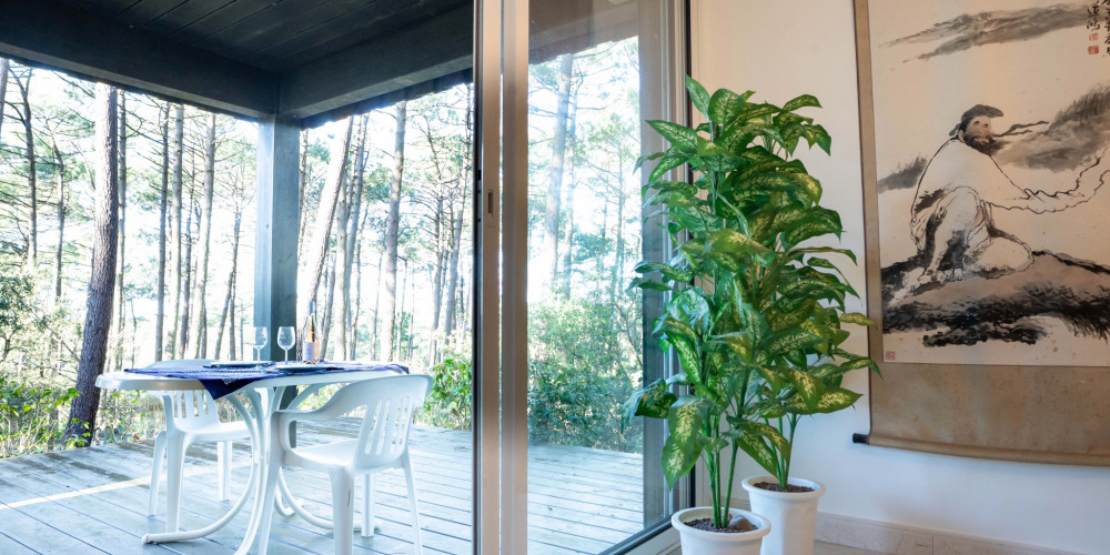 maison à LACANAU (33680)