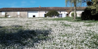 maison à ST VINCENT DE PERTIGNAS (33420)
