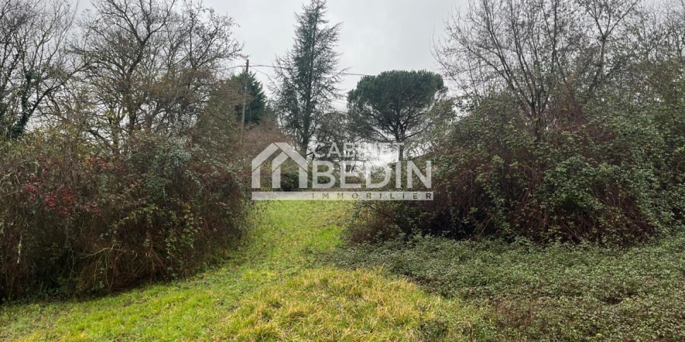 terrain à LE TOURNE (33550)