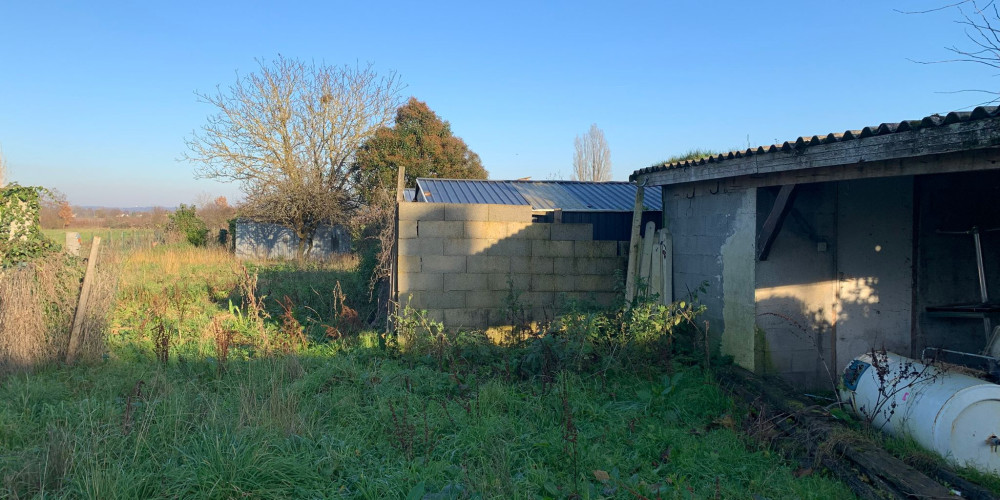 maison à ST PEY DE CASTETS (33350)