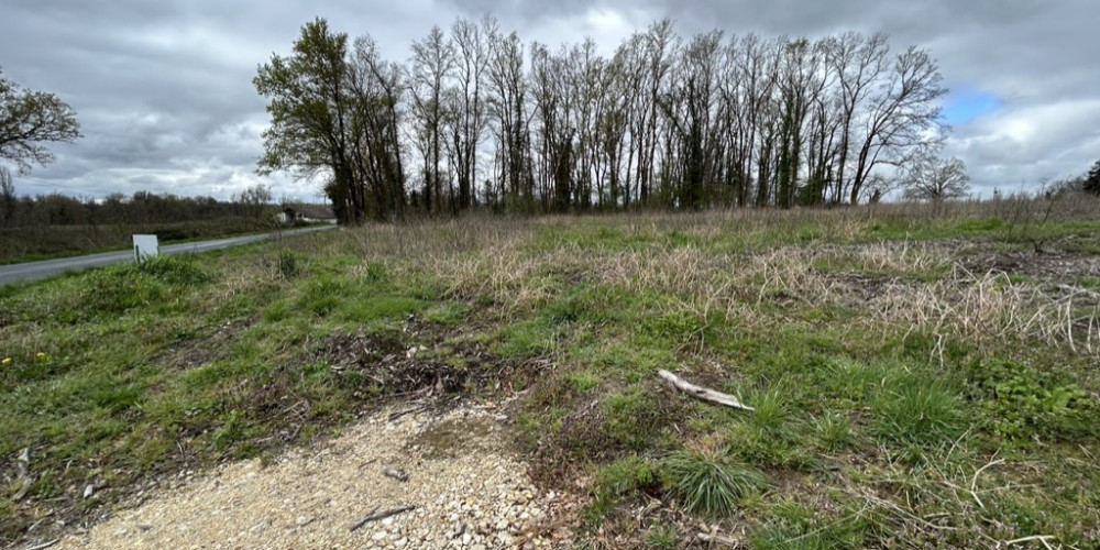 terrain à ST MARTIN DU BOIS (33910)