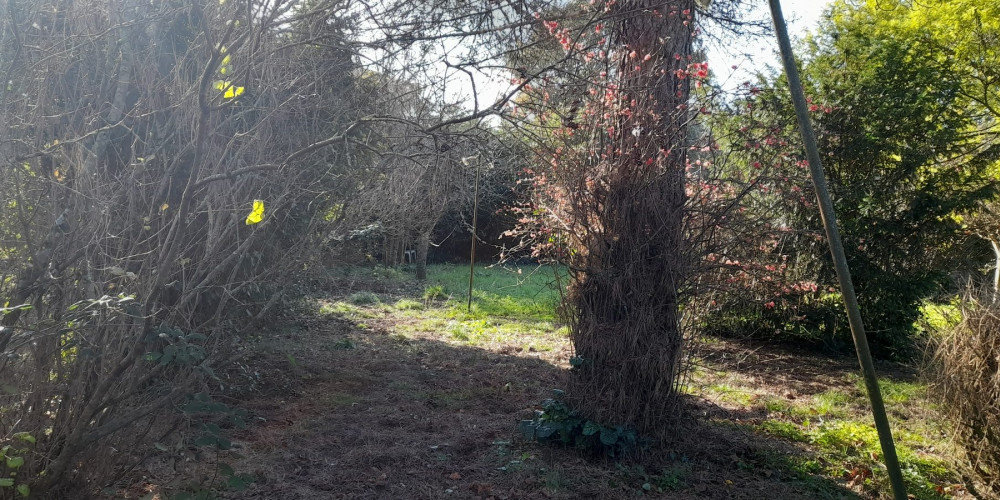 terrain à TALENCE (33400)