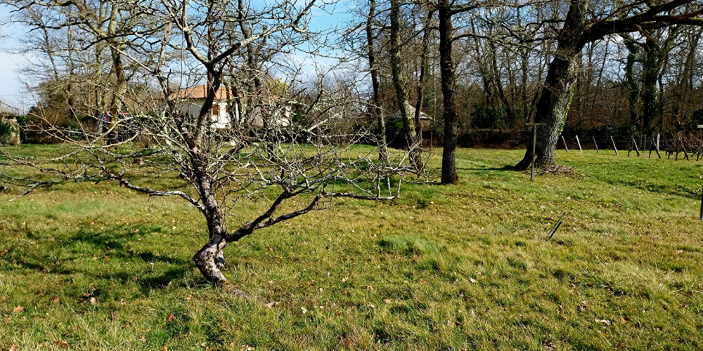 terrain à LANGON (33210)