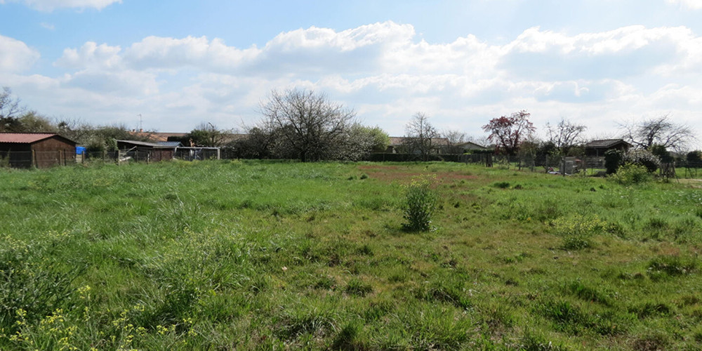 terrain à CISSAC MEDOC (33250)