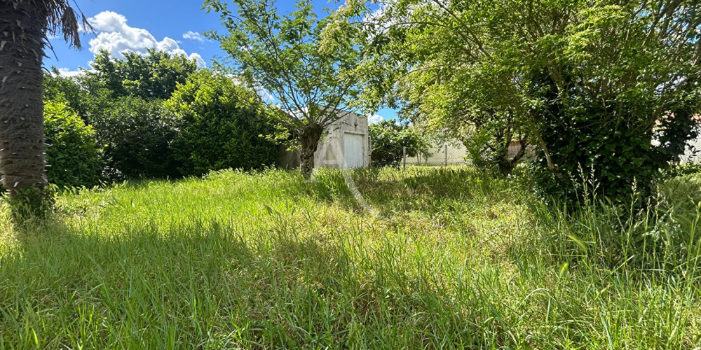 terrain à LE TAILLAN MEDOC (33320)