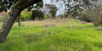 terrain à GUJAN MESTRAS (33470)