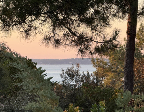 maison  LA TESTE DE BUCH