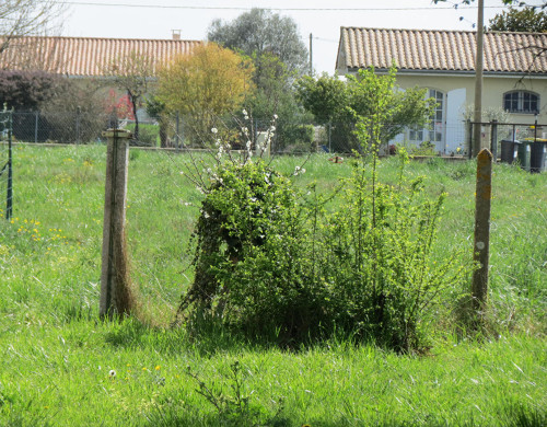 terrain  CISSAC MEDOC